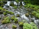 18g̐ʂւ